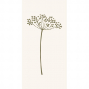 Papierservietten Autumn Umbel Flower von IB Laursen